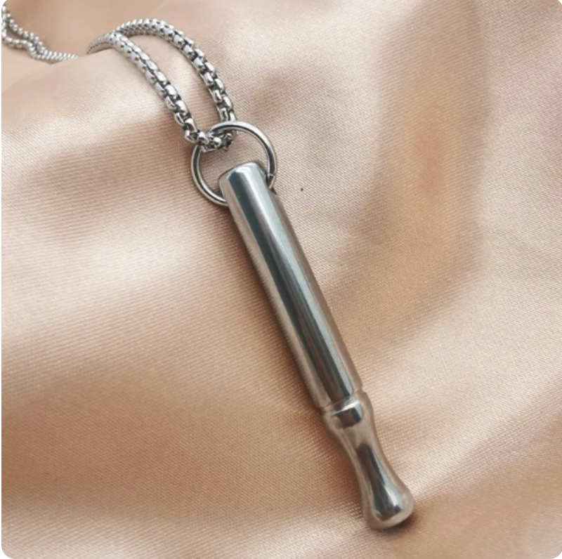 The Pausd Flow